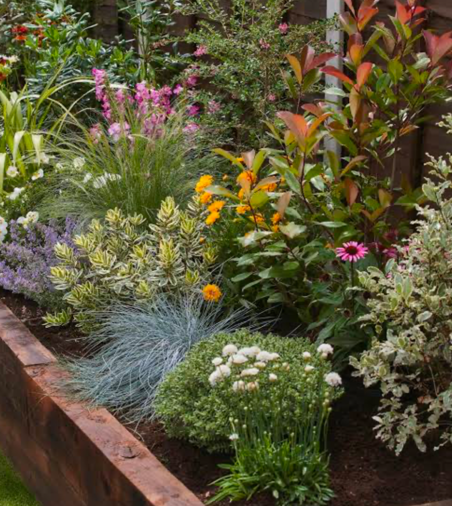 Colorful raised flower bed with mixed perennials, ornamental grasses, and blooming shrubs in a backyard garden.