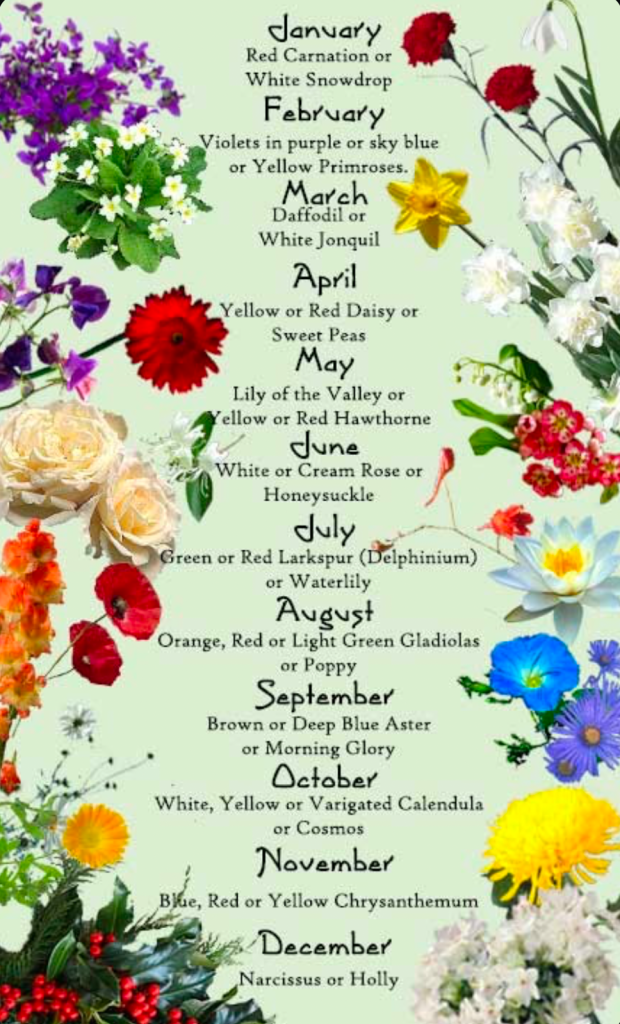 Birth month flowers chart with illustrated blooms for each month of the year
