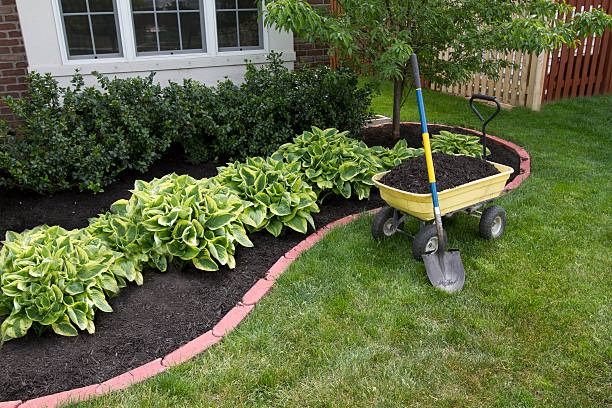 fresh mulch applied to garden flower bed with wheelbarrow shovel and landscaped front yard lawn