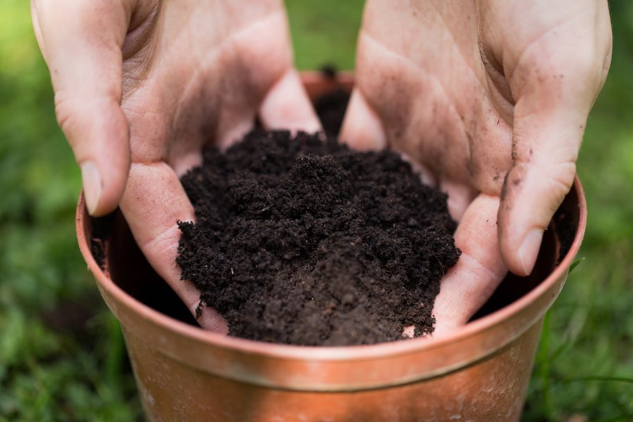 Hands holding fresh dark potting soil over a terracotta pot for planting