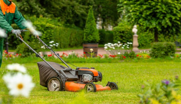person mowing green lawn with push mower in landscaped backyard garden