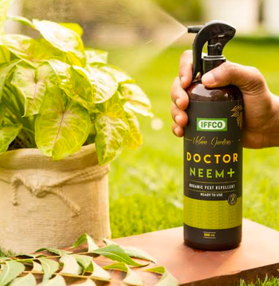 Person spraying neem oil pest repellent onto a potted plant.