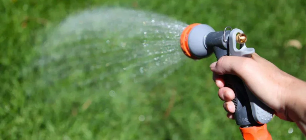 A gardener using a hose to water a lawn.
