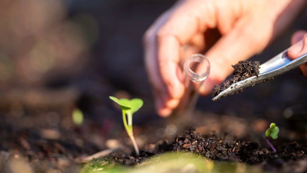 A gardener adding soil to a tube for testing.