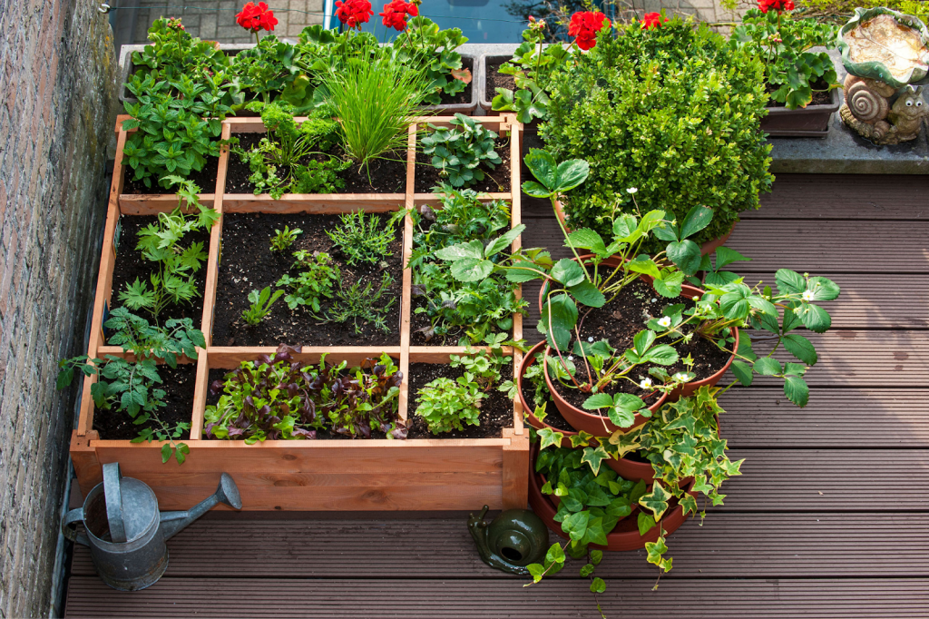 Square foot raised garden bed planted with herbs, greens, and vegetables.