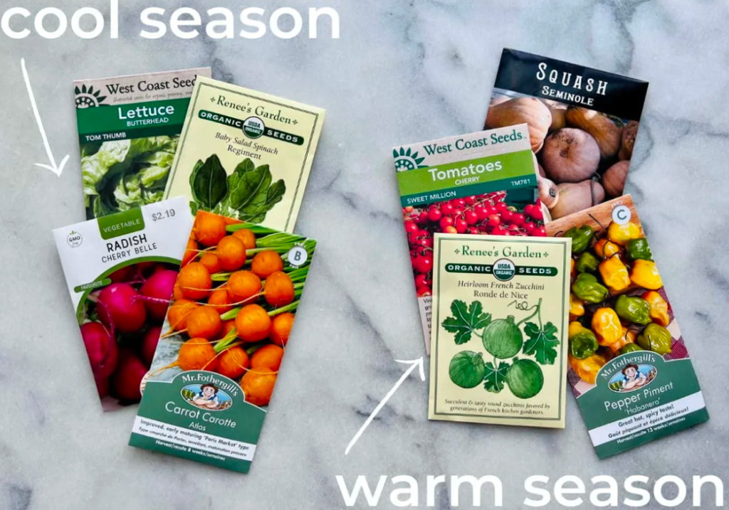 Seed packets labeled for cool-season crops like lettuce and radish, and warm-season crops like tomatoes and squash.