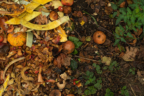 Decomposing fruits and vegetable scraps forming a compost pile outdoors