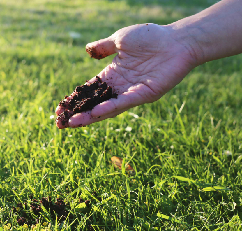Hand spreading compost onto a lawn to improve soil health.