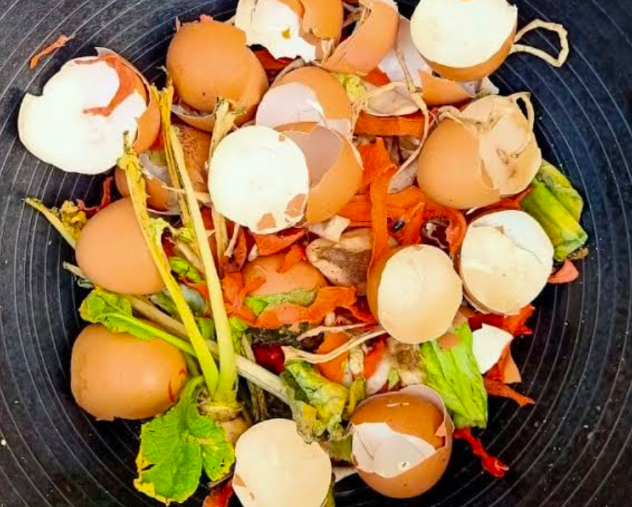 A bowl filled with cracked eggshells and mixed vegetable scraps for composting.