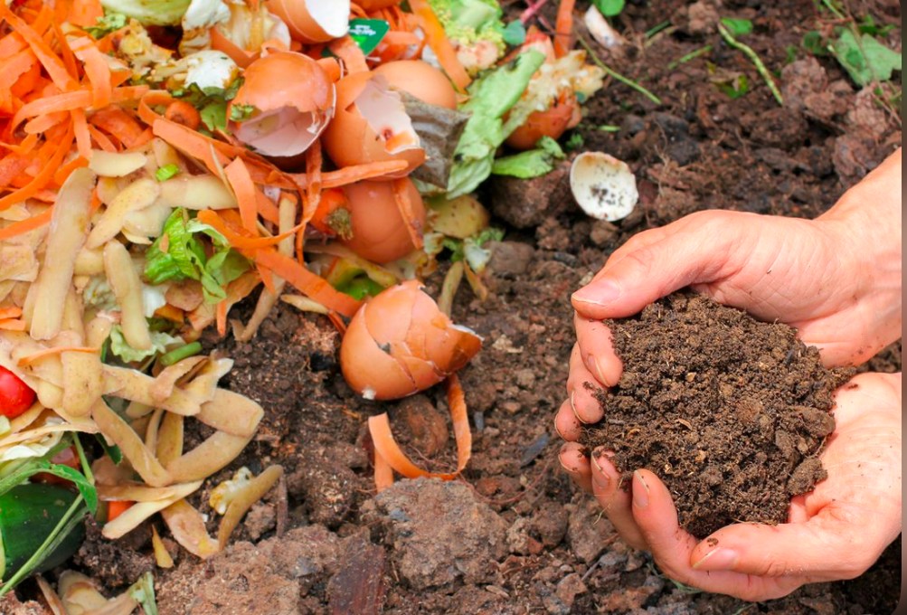 Person holding finished compost beside a pile of decomposing kitchen waste.
