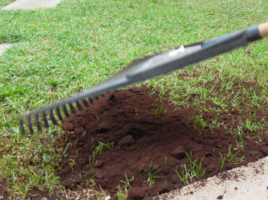 Garden rake spreading composted soil over a grassy lawn