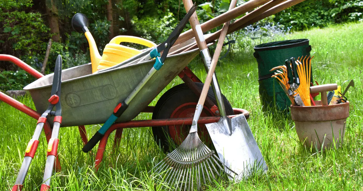 A wheel barrow and various tools sitting on a overgrown lawn.