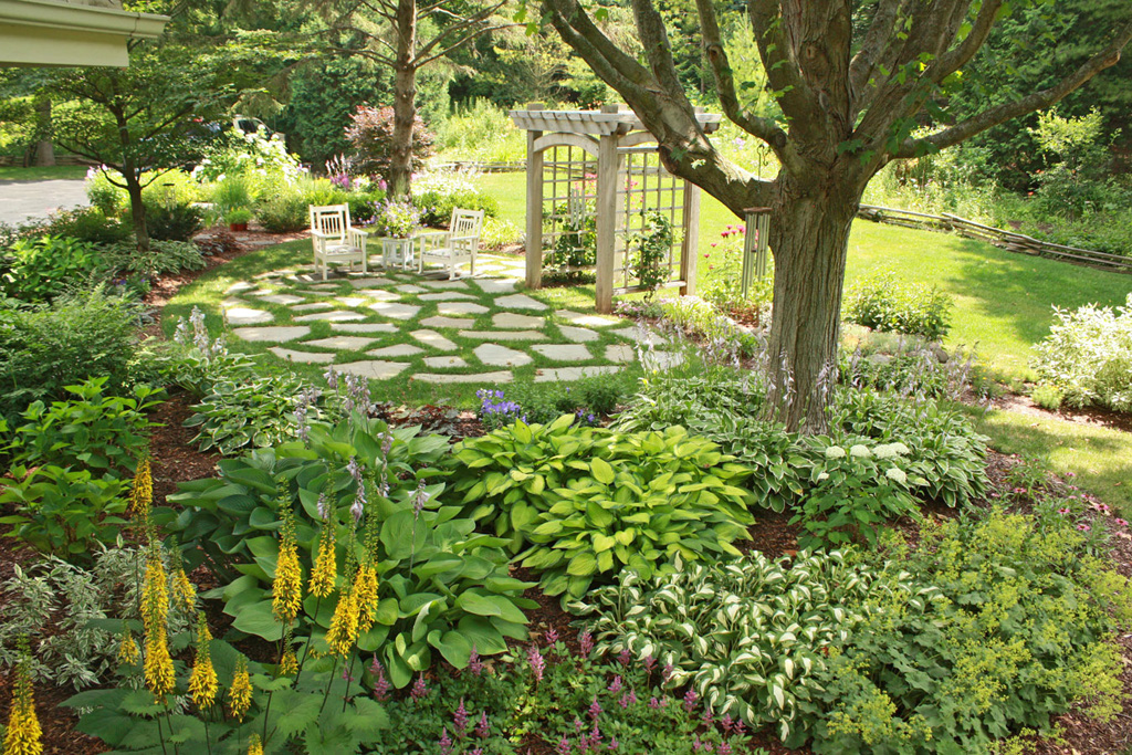 Tall Trees providing shade for small plants has its benefit - Image Source: Hawks Landscaping