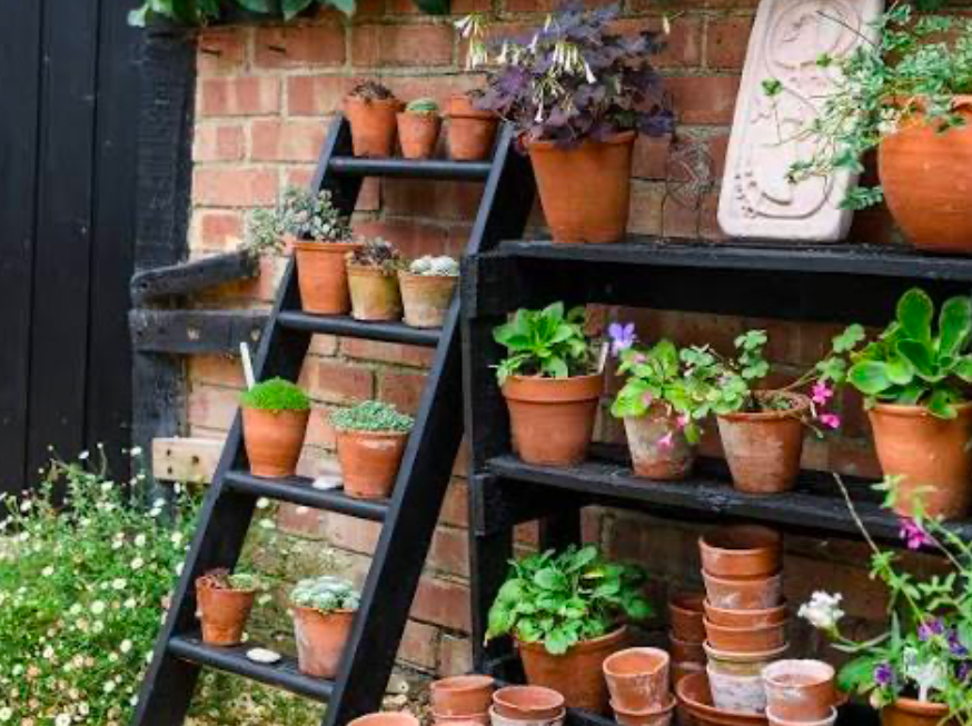 Tiered plant shelves displaying potted herbs and flowers for small garden spaces