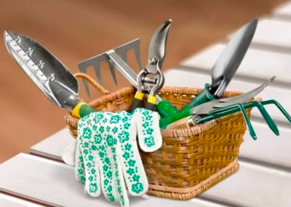 Basket holding essential hand gardening tools and gloves for everyday garden care