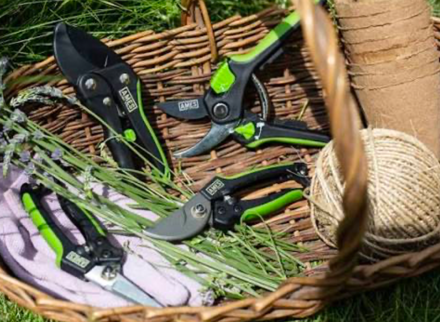 Pruning shears and garden gloves arranged in a basket for plant maintenance