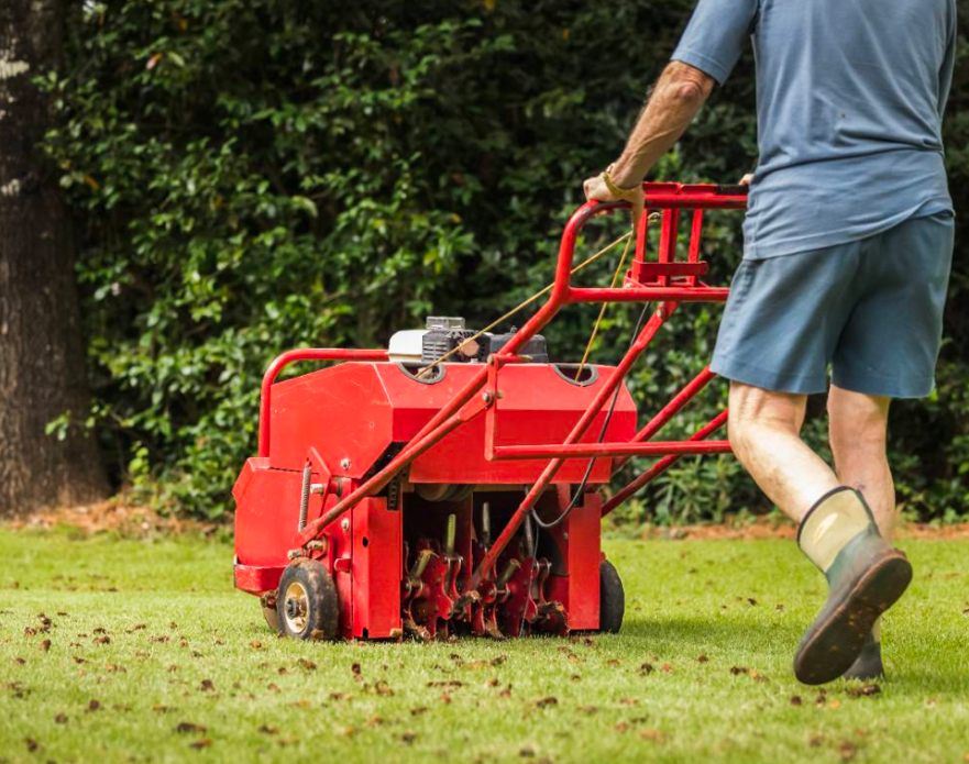 A gas powered core aerator being pushed along a lawn.