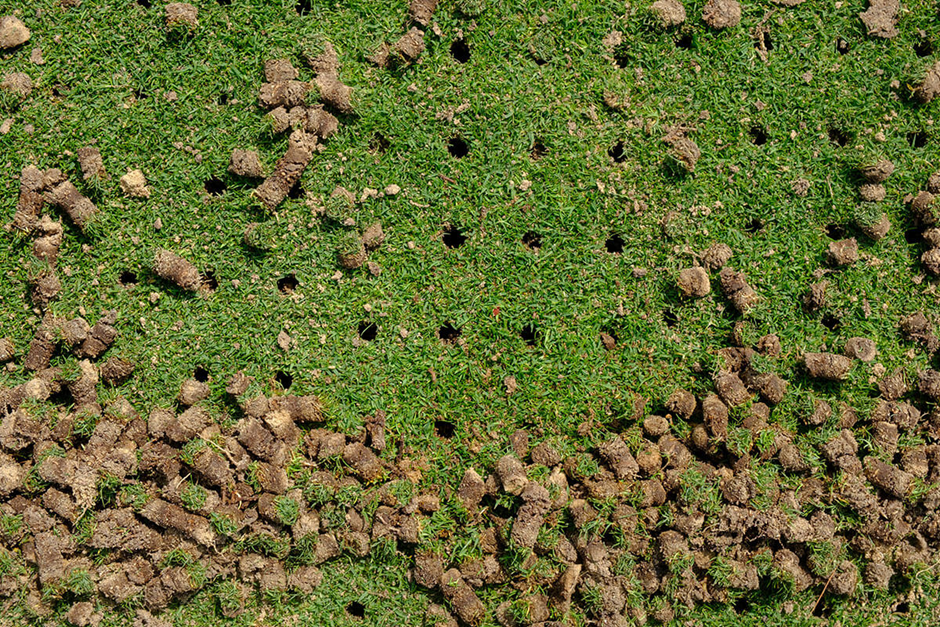 Lawn aeration holes with soil plugs showing reduced soil compaction in grass
