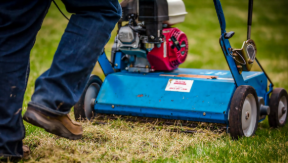 Powered lawn dethatcher machine removing dead grass and debris from turf