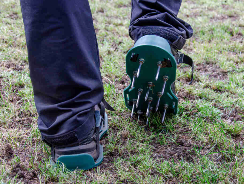 Person wearing spike aerator shoes to improve lawn soil drainage and airflow