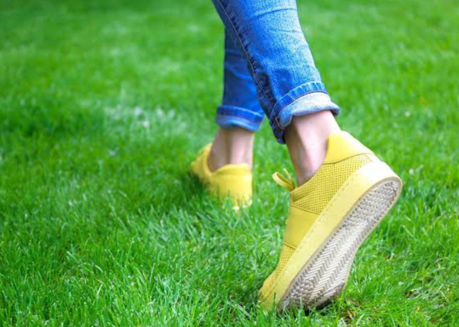 Person walking on healthy green lawn after aeration treatment