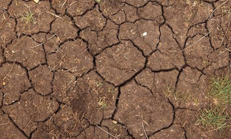 Dry compacted soil with cracks showing lawn damage caused by poor aeration