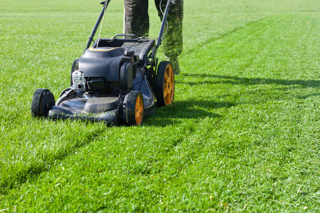 lawn mower cutting green grass for regular lawn maintenance and healthy turf growth