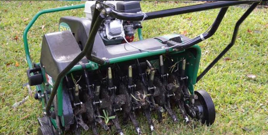 Garden rake removing thatch buildup from lawn surface