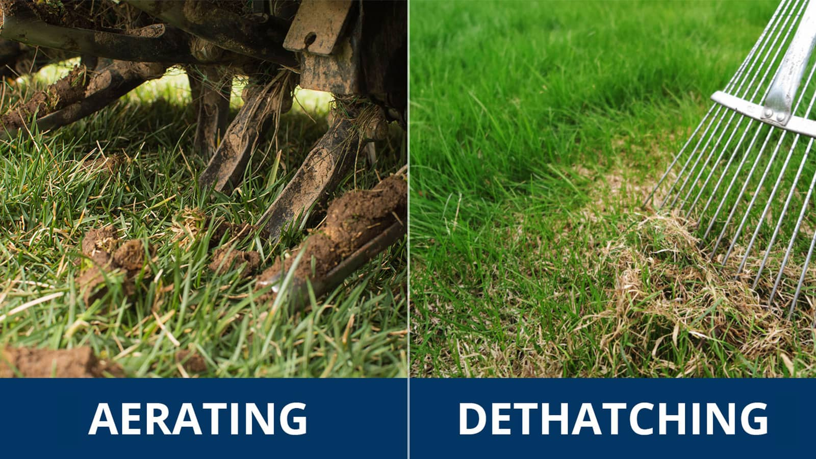 Lawn aerating versus dethatching comparison showing soil core removal and thatch raking process