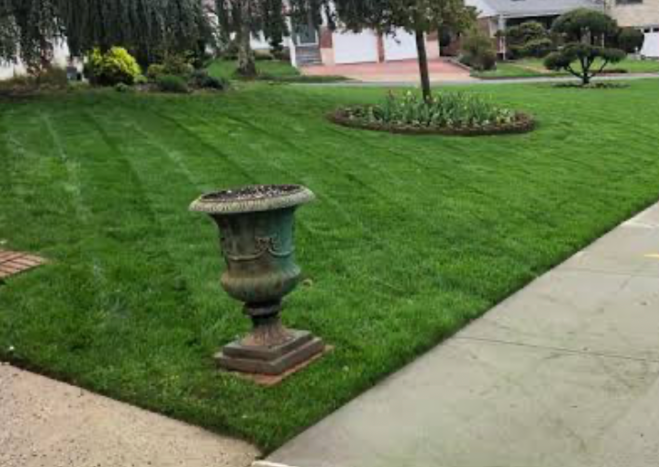 well maintained front yard with freshly edged lawn and clean grass lines
