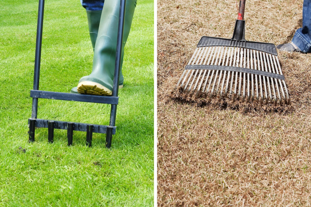 Side-by-side comparison of lawn aerator tool and dethatching rake for grass maintenance