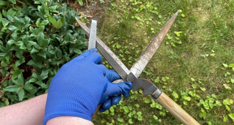 Filing a rusty garden tool.