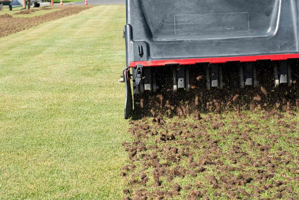 Power dethatcher machine removing thick thatch layer from lawn surface