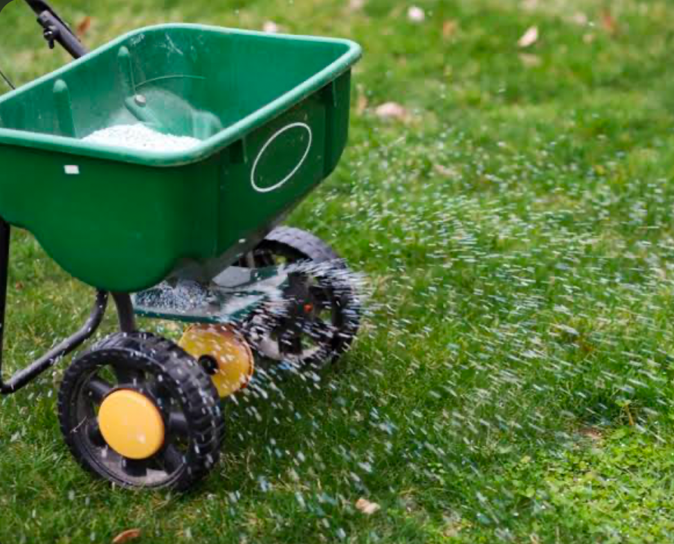 A Lawn Fertilizer spreader feeding a well maintained plot of grass.
