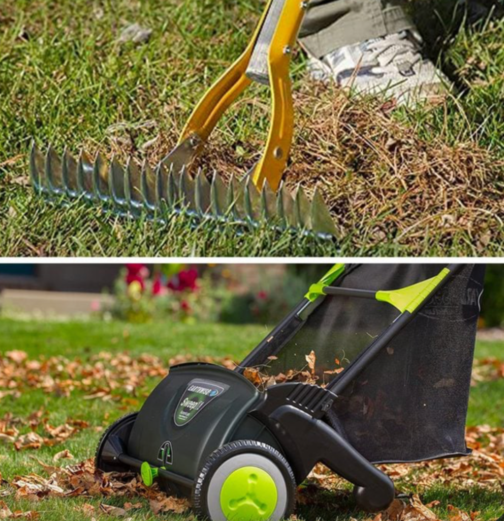 Electric lawn scarifier collecting leaves and thatch from grass surface