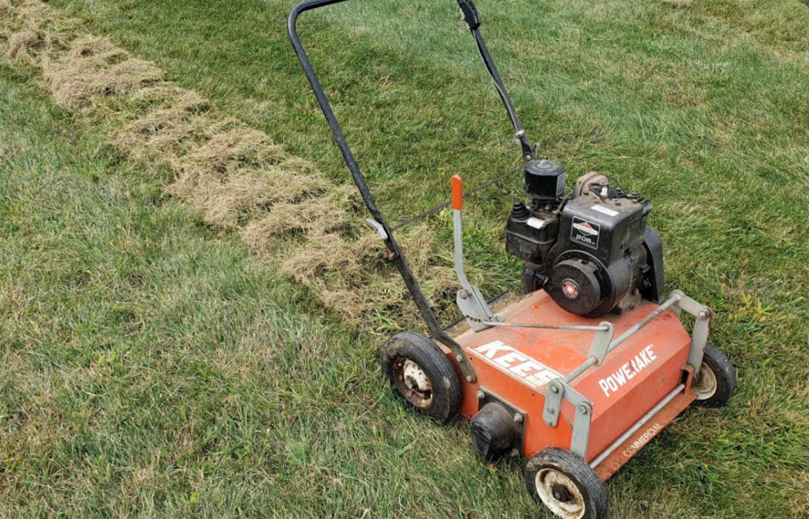 Gas-powered lawn dethatcher removing thick thatch buildup from yard
