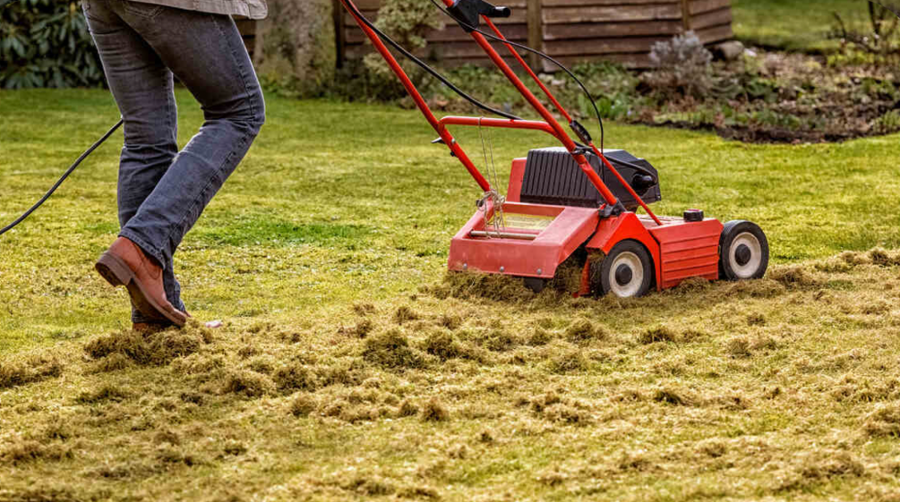 Power rake machine dethatching lawn and lifting compacted grass debris