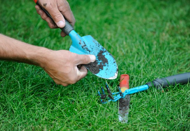 Cleaning soil from a garden trowel while repairing an outdoor irrigation line