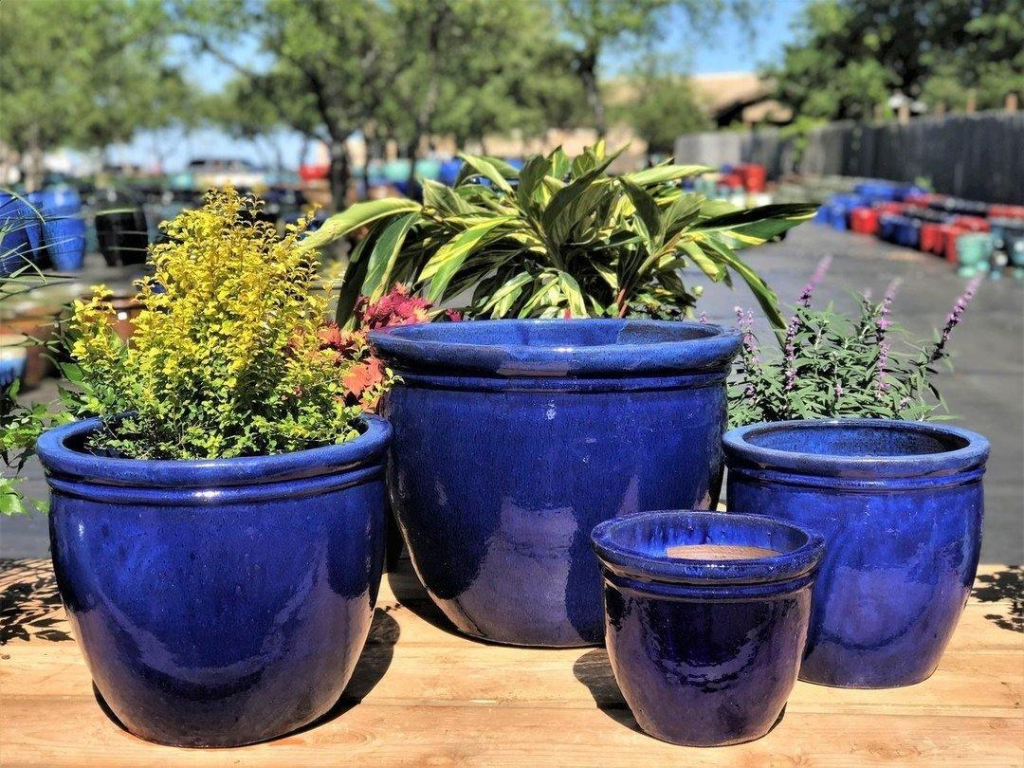 Blue ceramic outdoor plant pots arranged with colorful shrubs and flowers