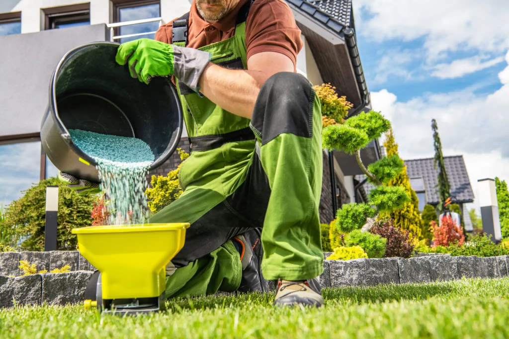 gardener filling lawn spreader with granular fertilizer in residential yard