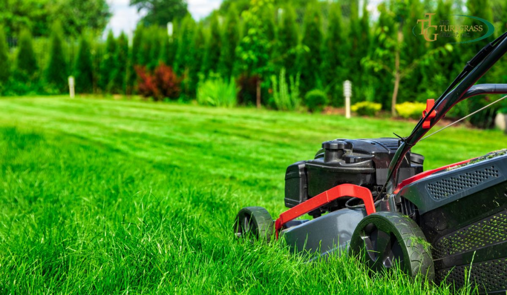 Lawn mower cutting fresh green grass in a landscaped backyard garden