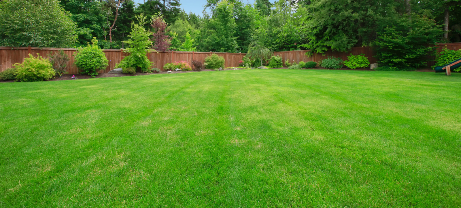 Well-maintained green backyard lawn with striped mowing pattern and landscaped garden border