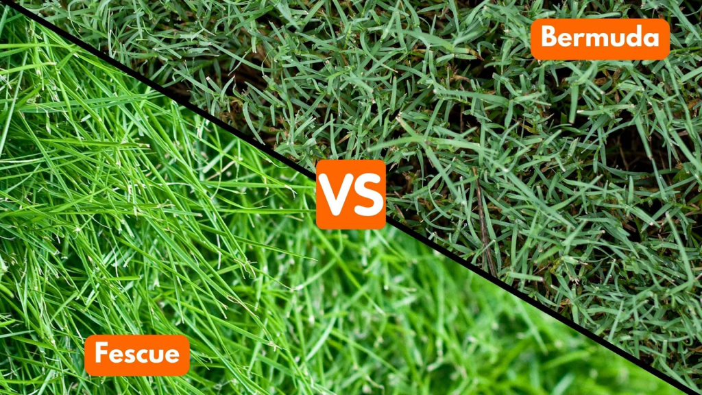 Lawn mower cutting fresh green grass in a landscaped backyard garden