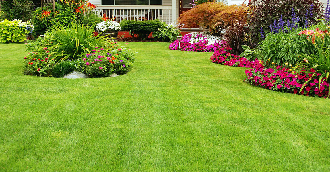 Landscaped garden lawn with colorful flower beds and neatly trimmed green grass