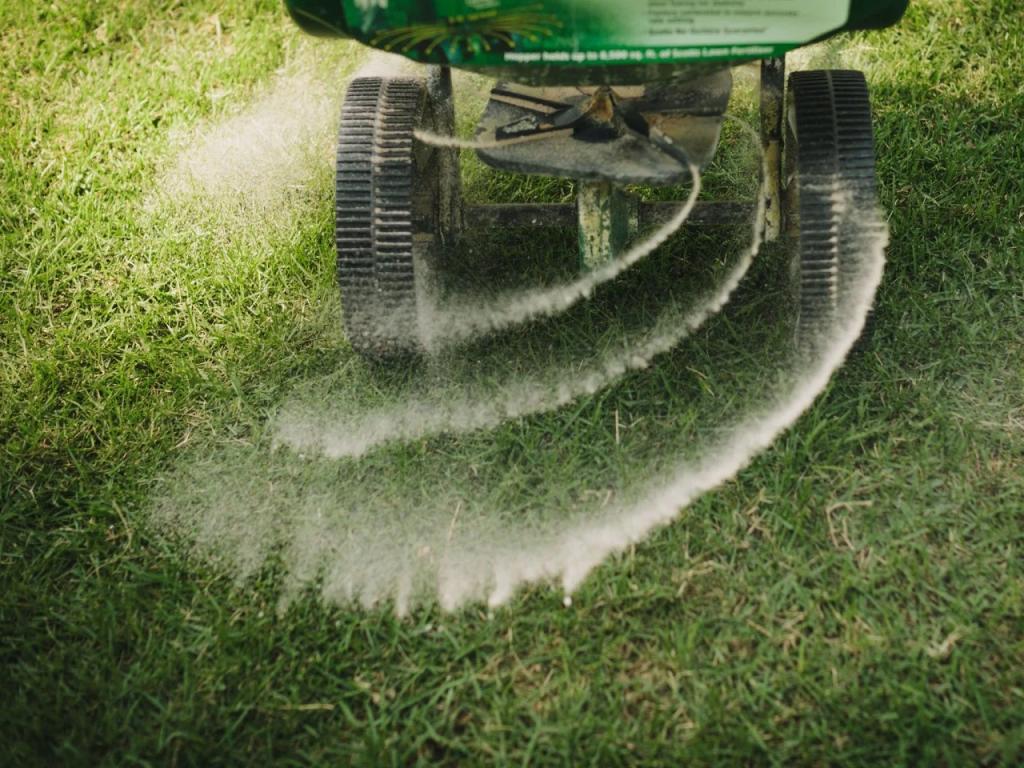 Spreader applying lawn fertilizer to thoroughly.