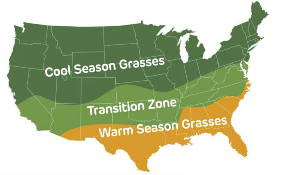 Map of the United States showing cool season, warm season, and transition zone grasses