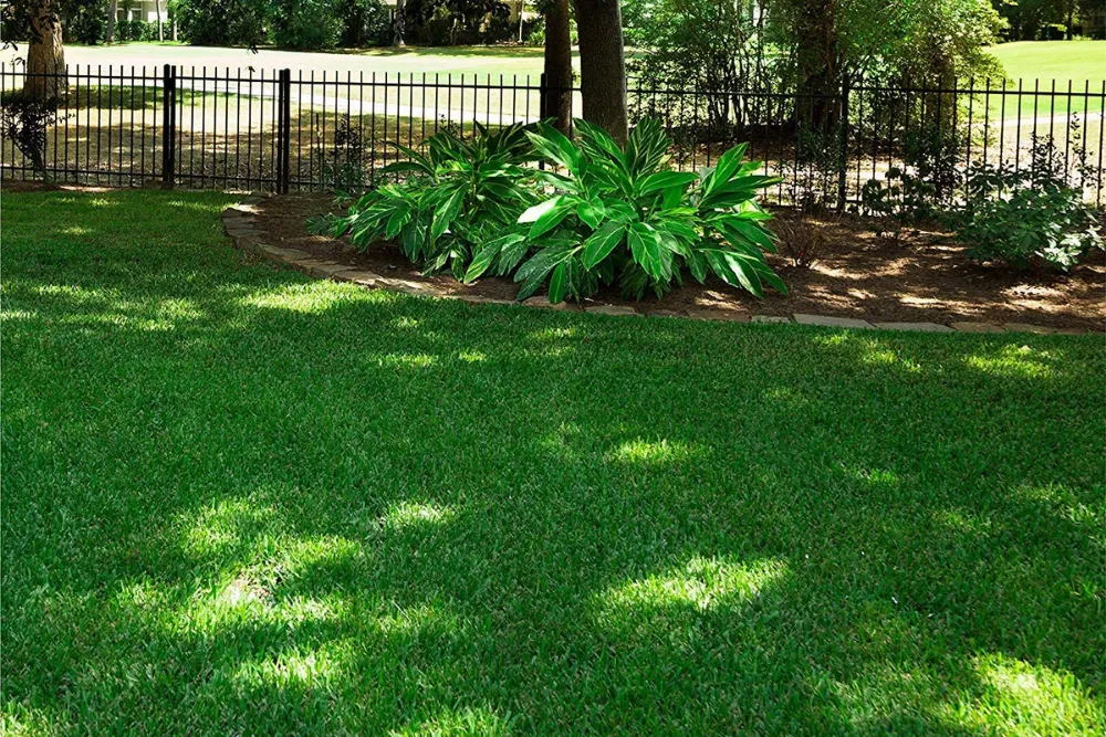 Well-maintained backyard lawn with lush green grass, shaded trees, and decorative plant bed near black metal fence
