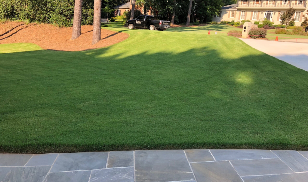 Freshly mowed green lawn on sloped front yard with trees, driveway, and landscaped mulch beds