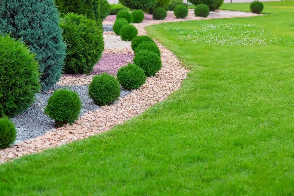 Decorative garden shrubs with stone edging and manicured green lawn in modern landscape design