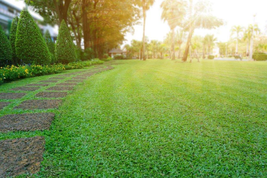 Healthy green lawn with stone pathway in a landscaped garden during sunny day